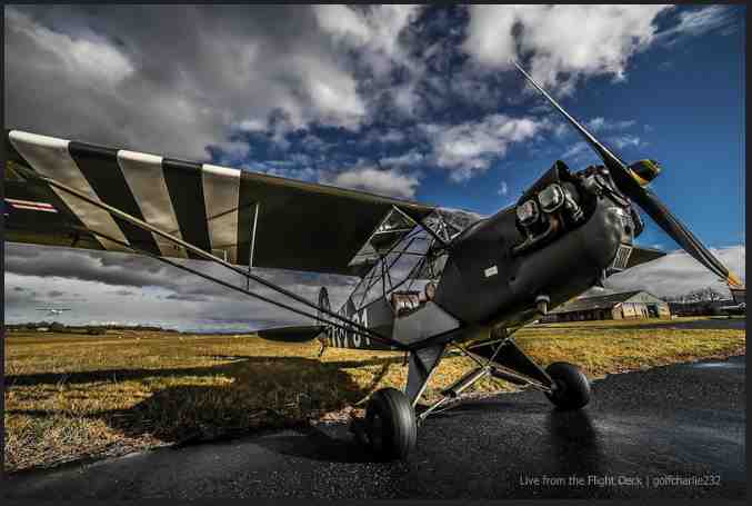piper, cub